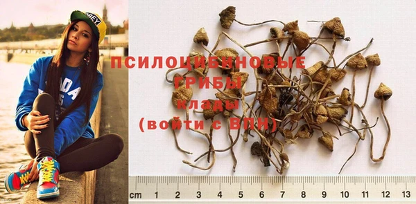 трава Горняк