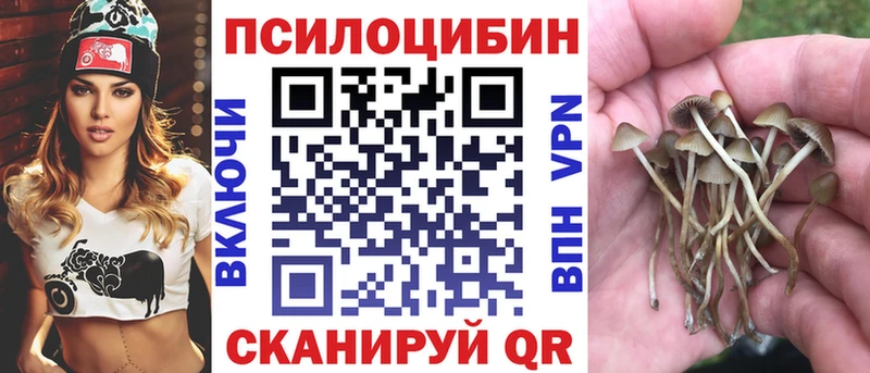 Псилоцибиновые грибы Psilocybe  Купить закладки  Калининец 